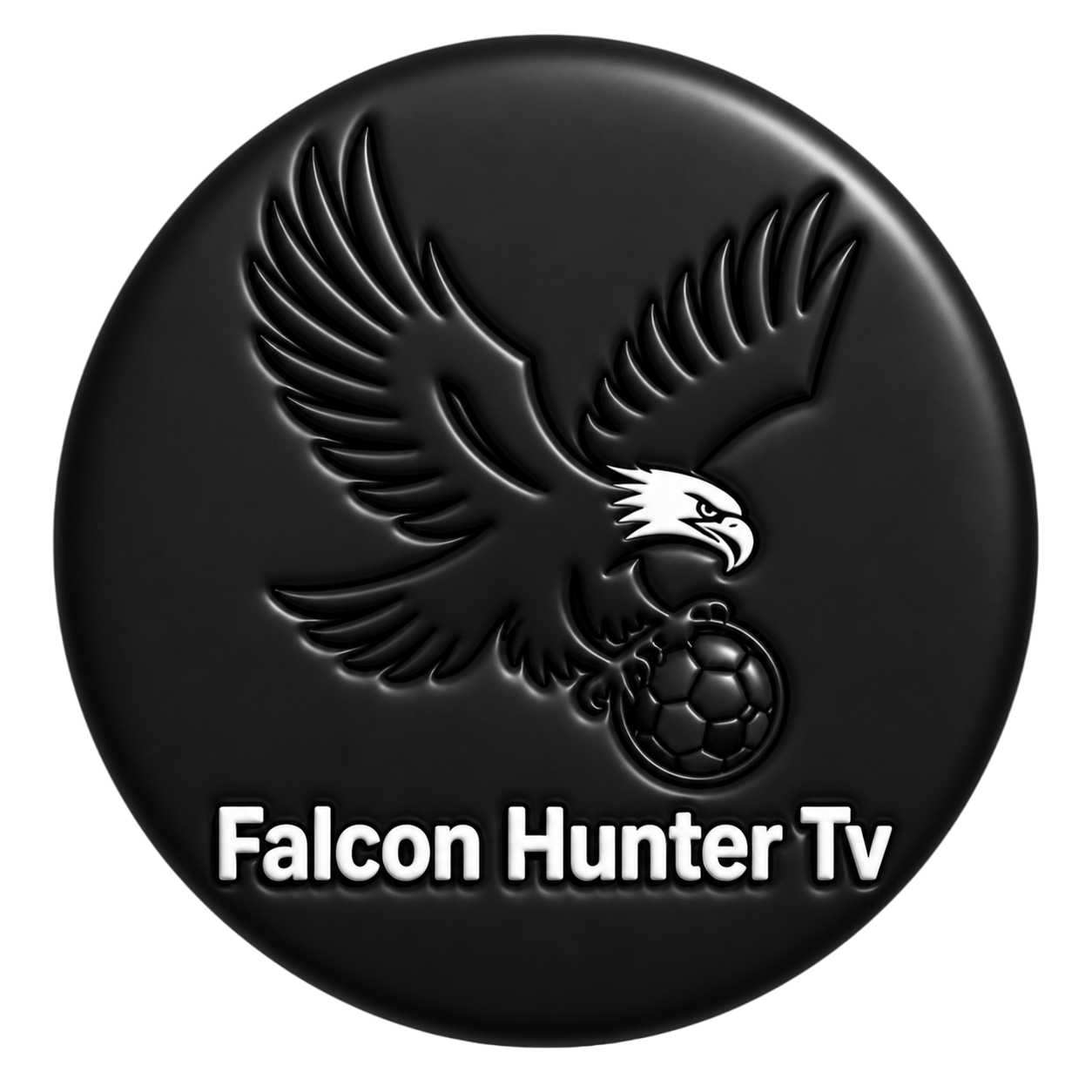 Falcon Hunter Tv icon